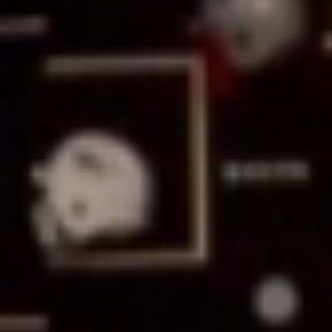 Meet your Posher, Chaim